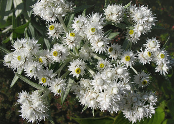 Similar image 1157399