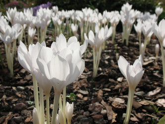 Similar image 1157402