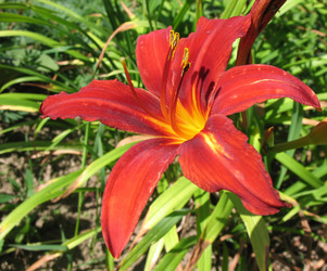 Similar image 1157405