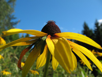 Similar image 1157407