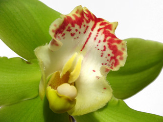 Similar image 1157411