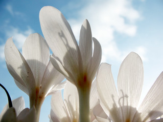 Similar image 1157412