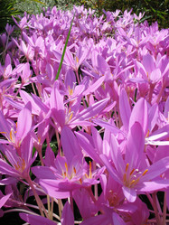 Similar image 1157413