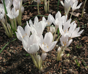 Similar image 1157420