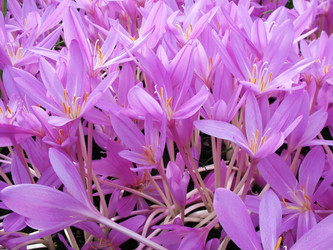 Similar image 1157421