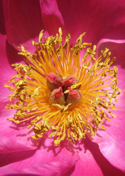 Similar image 1157423