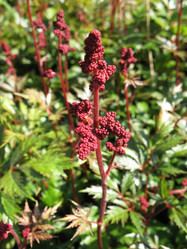 Similar image 1157425