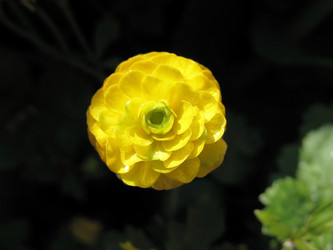 Similar image 1157427