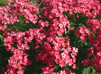 Similar image 1157428