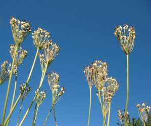 Similar image 1157429