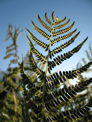 Similar image 1157431