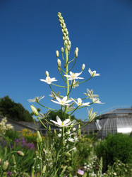 Similar image 1157433