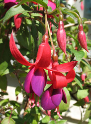 Similar image 1157434