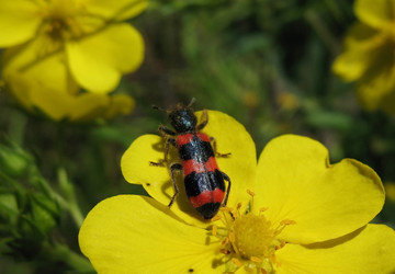 Similar image 1157436