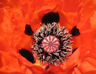 Similar image 1157438