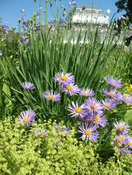 Similar image 1157441