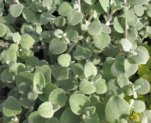 Similar image 1157447