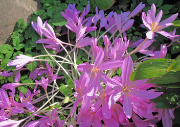 Similar image 1157448