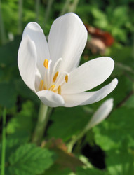 Similar image 1157451