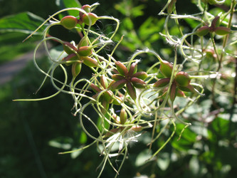 Similar image 1157453