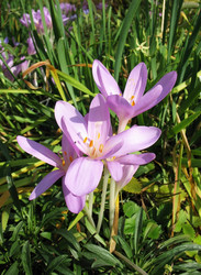 Similar image 1157462