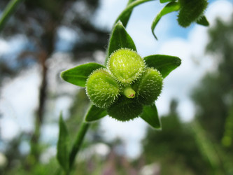 Similar image 1157468