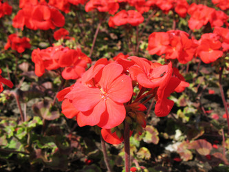 Similar image 1157471