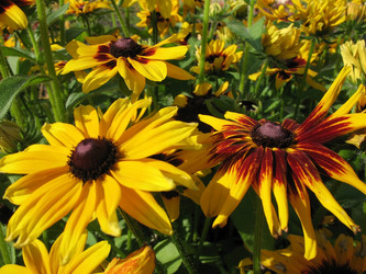 Similar image 1157472