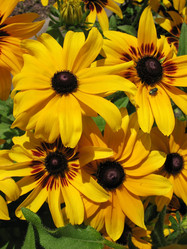 Similar image 1157473