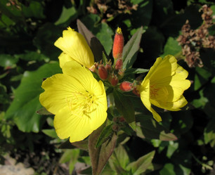 Similar image 1157475