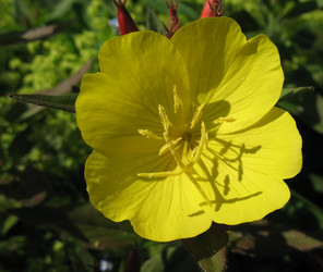 Similar image 1157476