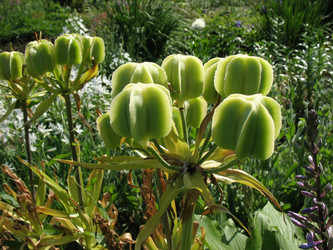 Similar image 1157477