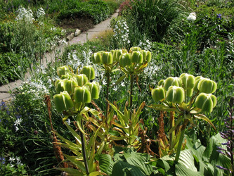 Similar image 1157478