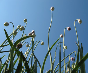 Similar image 1157479