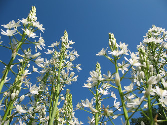 Similar image 1157480