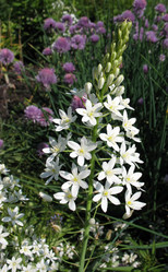 Similar image 1157481