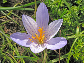 Similar image 1157504