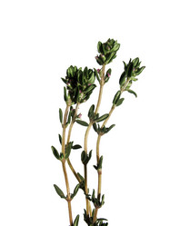 Similar image 1157511