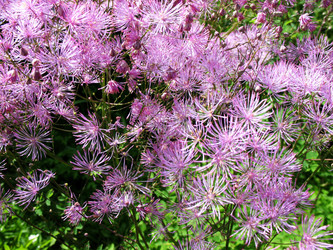 Similar image 1157522