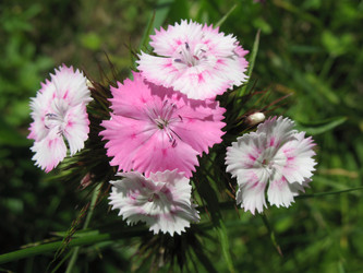 Similar image 1157524