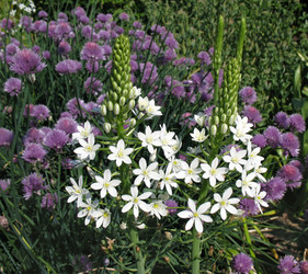 Similar image 1157530