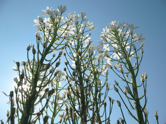 Similar image 1157532