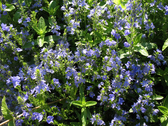 Similar image 1157533