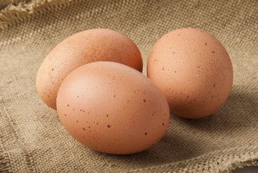 Similar image 1157538