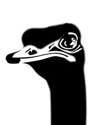 Similar image 1157623