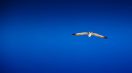 Similar image 1157627