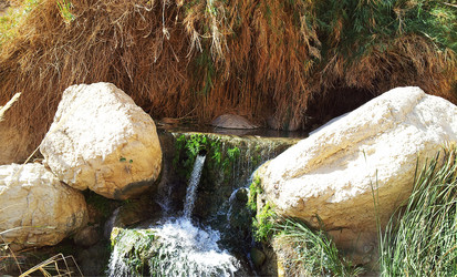 Similar image 1157659