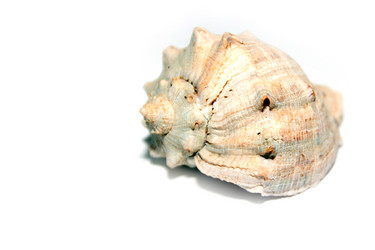 Similar image 1157666