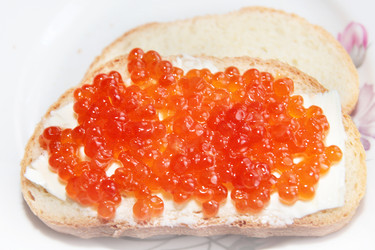 Similar image 1157668