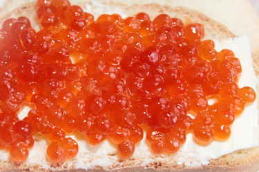 Similar image 1157672